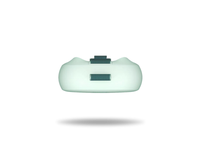 BOSE SoundLink Micro (2. Gen.)