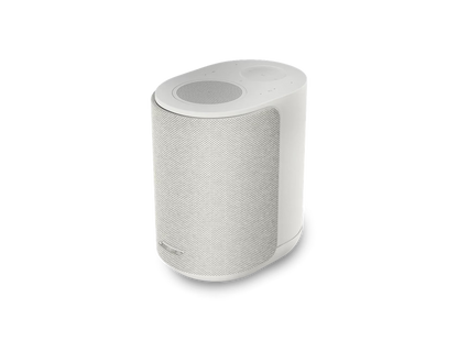 BOSE Lifestyle Ultra Lautsprecher