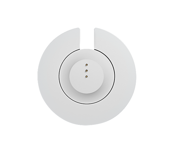 BOSE Portable Smart Speaker Ladeschale