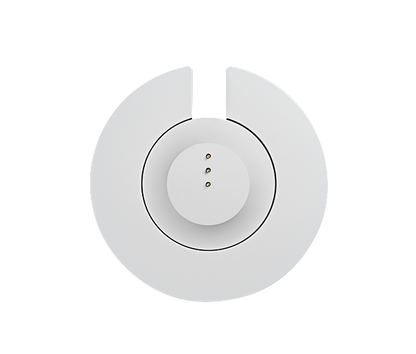 BOSE Portable Smart Speaker Ladeschale