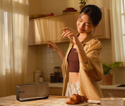 BOSE SoundLink Home